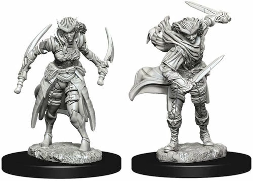 Other D&D Nolzur's Marvelous Unpainted Miniatures: Tiefling Female Rogue