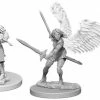 Other D&D Nolzur's Marvelous Unpainted Miniatures: Aasimar Female Paladin