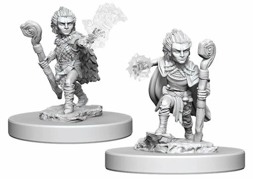 Other Wizkids D&D/Pathfinder Miniatures Pathfinder Deep Cuts Unpainted Miniatures: Gnome Male Druid