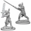 Other Pathfinder Deep Cuts Unpainted Miniatures: Female Human Barbarian