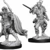 Other D&D Nolzur's Marvelous Unpainted Miniatures: Male Elf Rogue