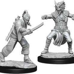 Other D&D Nolzur's Marvelous Unpainted Miniatures: Male Human Monk