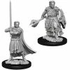 Other D&D Nolzur's Marvelous Unpainted Miniatures: Male Human Cleric (73672)
