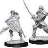 Other D&D Nolzur's Marvelous Unpainted Miniatures: Male Human Fighter