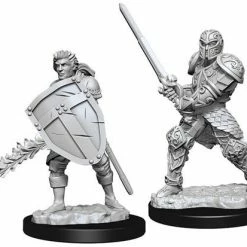 Other D&D Nolzur's Marvelous Unpainted Miniatures: Male Human Fighter