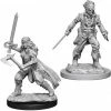 Other D&D Nolzur's Marvelous Unpainted Miniatures: Vampire Hunters