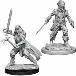 Other D&D Nolzur's Marvelous Unpainted Miniatures: Vampire Hunters