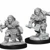 Other Pathfinder Deep Cuts Unpainted Miniatures: Dwarf Female Barbarian