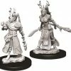 Other D&D Nolzur's Marvelous Unpainted Miniatures: Female Human Druid (73701)