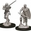 Other D&D Nolzur's Marvelous Unpainted Miniatures: Female Human Fighter