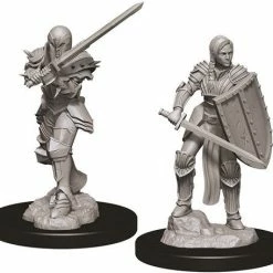 Other D&D Nolzur's Marvelous Unpainted Miniatures: Female Human Fighter