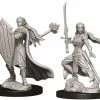 Other D&D Nolzur's Marvelous Unpainted Miniatures: Female Elf Paladin