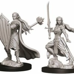 Other D&D Nolzur's Marvelous Unpainted Miniatures: Female Elf Paladin