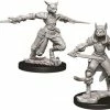Other D&D Nolzur's Marvelous Unpainted Miniatures: Female Tabaxi Rogue