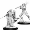 Other D&D Nolzur's Marvelous Unpainted Miniatures: Female Human Paladin