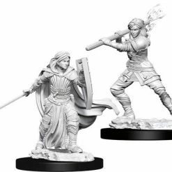 Other D&D Nolzur's Marvelous Unpainted Miniatures: Female Human Paladin