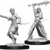 Other D&D Nolzur's Marvelous Unpainted Miniatures: Female Human Rogue