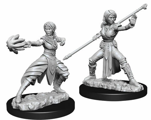 Other D&D Nolzur's Marvelous Unpainted Miniatures: Female Half-Elf Monk