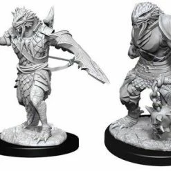 Other D&D Nolzur's Marvelous Unpainted Miniatures: Male Dragonborn Paladin