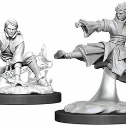Other D&D Nolzur's Marvelous Unpainted Miniatures: Female Human Monk