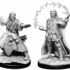 Other D&D Nolzur's Marvelous Unpainted Miniatures: Male Human Wizard