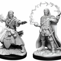 Other D&D Nolzur's Marvelous Unpainted Miniatures: Male Human Wizard