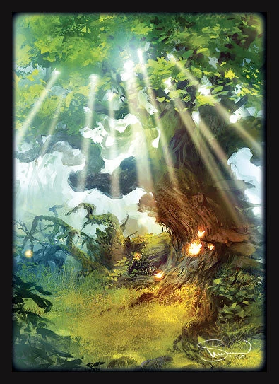 Other Legion Standard Card Game Sleeves 50ct Matte Lands Forest Supplies