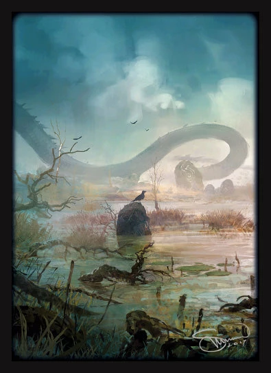 Other Legion Standard Card Game Sleeves 50ct Matte Lands Swamp Supplies