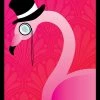 Other Legion Standard Card Game Sleeves 50ct Matte Flamingo Supplies