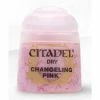 Other Citadel Dry Changeling Pink Paints